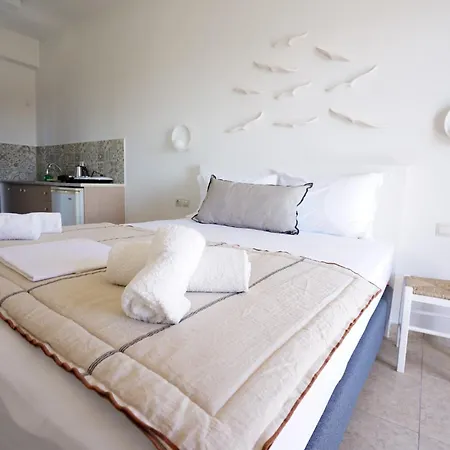 度假居 Agia Marina 1 Andros
